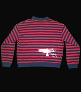 Custom Cropped long sleeve striped sweater