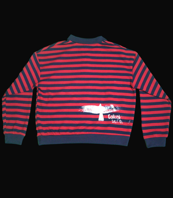 Custom Cropped long sleeve striped sweater